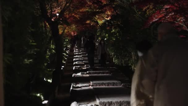 Herbstbäume Kyoto Japan Nachts Entlang Des Steinpfades Beleuchtet — Stockvideo