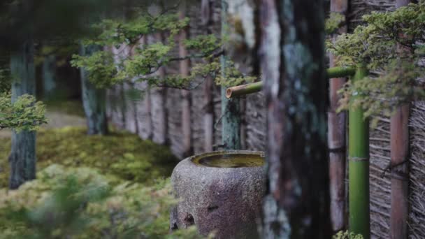 Waterbekken Traditionele Japanse Tuin Regen — Stockvideo