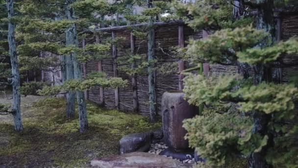 Pan Jardin Japonais Traditionnel Sous Pluie — Video
