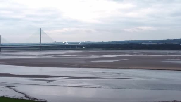 Graciösa Flyttande Flock Svanar Flyger Över Floden Mersey Gateway Bro — Stockvideo