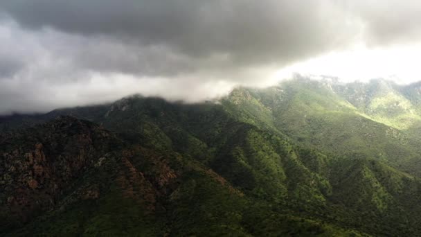 Dolly Aérea Izquierda Madera Canyon Arizona Verde Después Del Monzón — Vídeo de stock