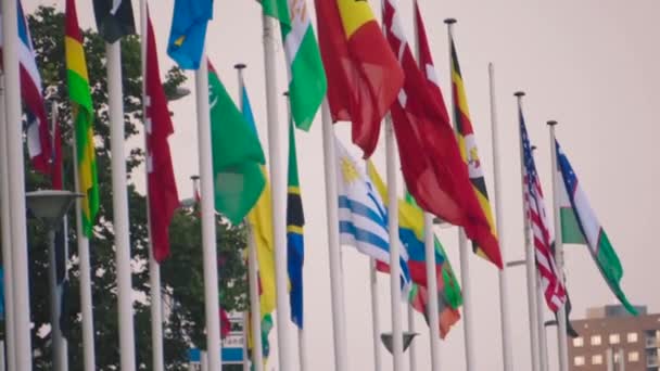 Флаги Стран Мира Флагштоках Развеваются Ветру — стоковое видео