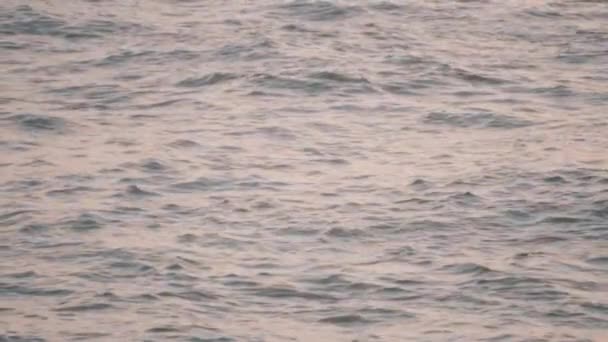 水面に波紋のような光の反射を生み出す波の眺め — ストック動画