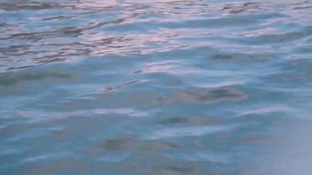 水面に波紋と太陽のぎらぎらと流れる淡水のクローズアップ — ストック動画