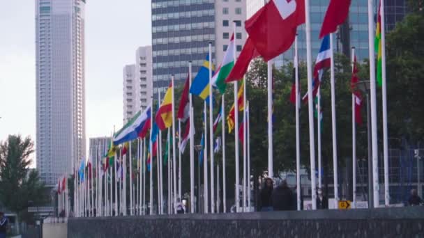 Groupe Drapeaux Divers États Symbole Coopération Mondiale Drapeaux Des Pays — Video