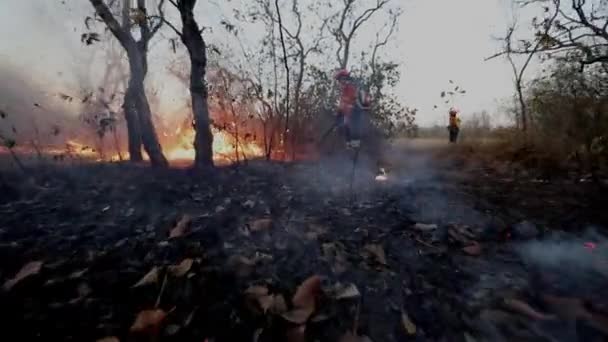 Firefighters Get Wildfire Control Brazilian Savannah Sparks Ash Flying — Stock Video