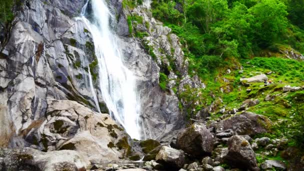 Płynący Skalisty Górski Wodospad Relaksującej Leśnej Dziczy Liści — Wideo stockowe