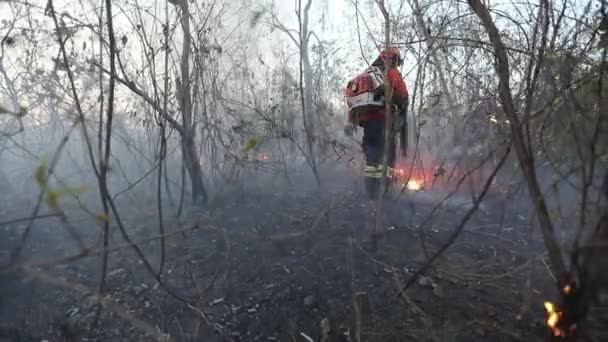 Usando Soplador Gas Para Controlar Incendio Forestal Sabana Brasileña — Vídeos de Stock