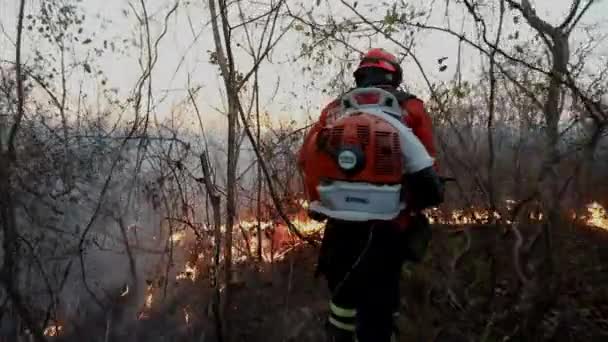 Bombeiro Soprando Para Trás Bordas Incêndio Para Controlá — Vídeo de Stock