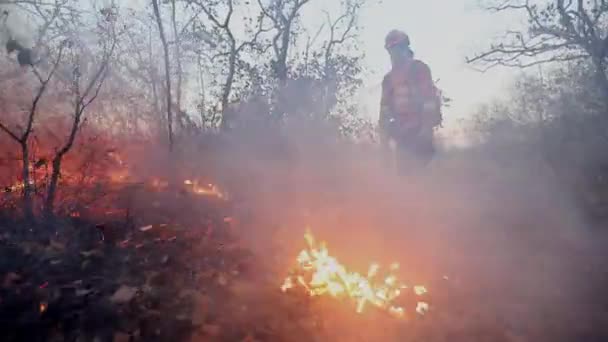 Sparks Burning Brers Fly Fireman Uses Blower Control Edges Wildfire — Video Stock
