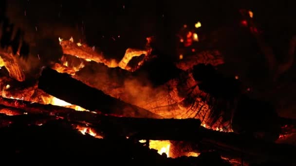 Fiamme Intensamente Calde Bruciano Nella Foresta Pluviale Amazzonica Anno Siccità — Video Stock