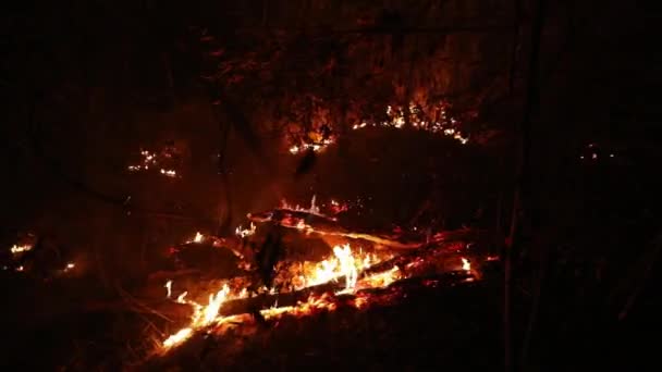 Een Bos Blijft Branden Nadat Een Dodelijk Wildvuur Door Het — Stockvideo