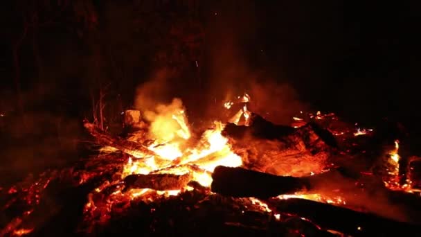 Wildfire Burns Amazon Rain Forest Nighttime Flames Glow Spreading Embers — Stock Video