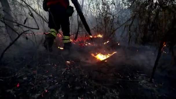 Bravo Herói Bombeiro Usa Ventilador Para Obter Incêndio Savannah Brasileira — Vídeo de Stock