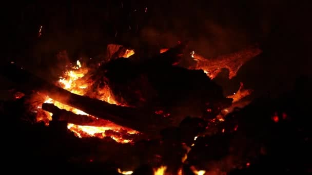 Následky požáru spálí les v doutnajícím pekle - panning view