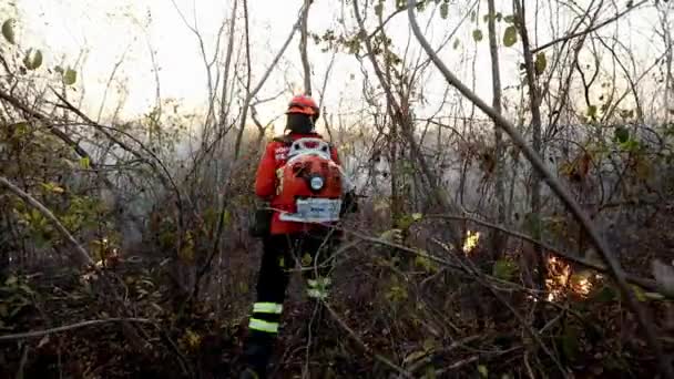 Dos Bomberos Luchan Para Controlar Incendio Forestal Sabana Brasileña — Vídeos de Stock