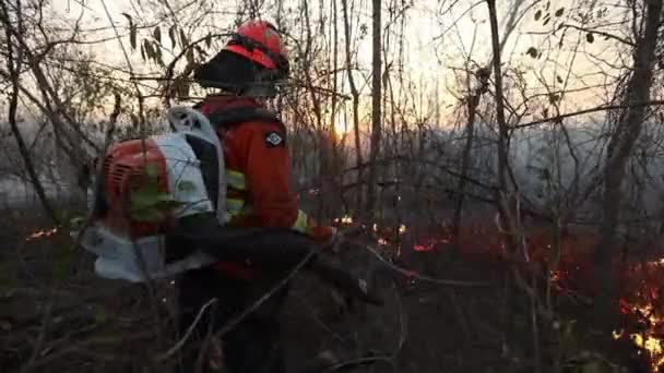 英勇的女消防员用鼓风机控制着野火的燃烧 — 图库视频影像