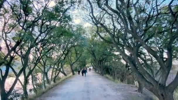 Ein Schöner Spaziergang Mit Überhängenden Bäumen Und Menschen Die Entlang — Stockvideo