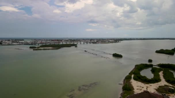 Vue Sur Mangrove Marina Yucatan Mexique — Video