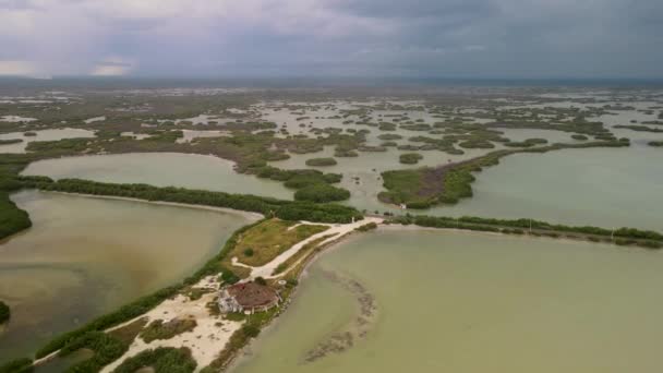 Meksika Merida Yakınlarındaki Mangrove Manzarası — Stok video
