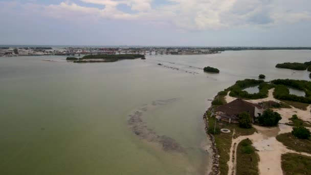 Atterraggio Nella Vista Delle Mangovie Nello Yucatan Messico — Video Stock