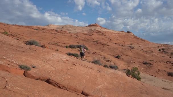 Lonely Man Backpack Hiking Poles Dry Desert Landscape Utah Usa — Stock Video