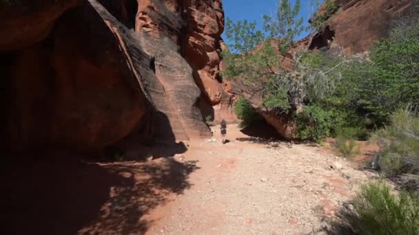 Senderista Femenina Caminando Por Sendero Seco Bajo Acantilados Arenisca Roja — Vídeo de stock