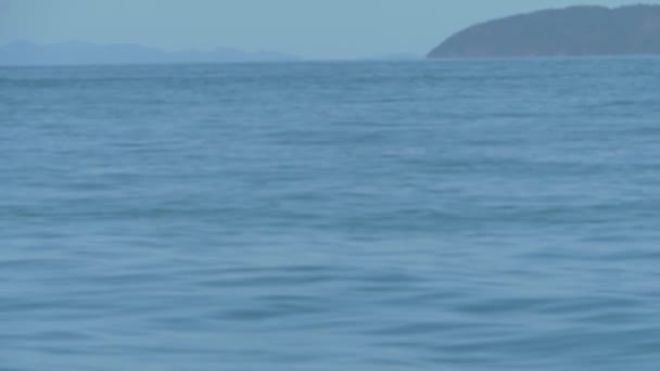 Calm Waves Blue Sea Whitsunday Island Boat Trip Qld Australia — Vídeos de Stock