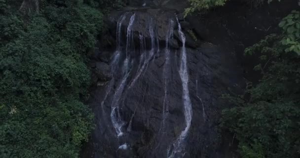 コティガオ野生動物保護区で成長している葉の植物とロッキーヒルズにまたがる水のさわやかな景色インドの南ゴア州Netravali プルバック ショット — ストック動画