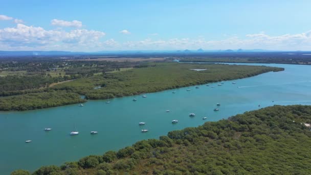 Barcos Amarrados Río Caboolture Beachmere Humedales Exuberantes Verdes Vista Aérea — Vídeos de Stock