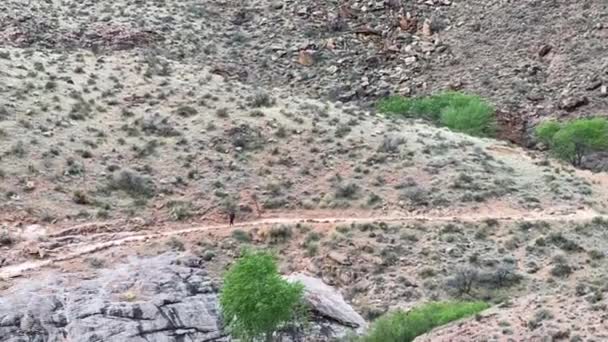 Caminhante Solitário Trilha Caminhadas Grand Canyon National Park Arizona Eua — Vídeo de Stock