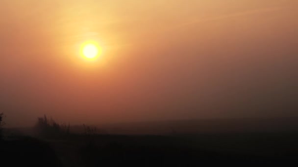 Pôr Sol Através Fumaça Fogo Ambiente Desfocado Cinematográfico Muita Fumaça — Vídeo de Stock