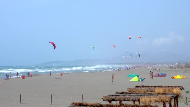Uçurtma Sörfçüleriyle Dolu Rüzgarlı Sisli Plajın Videosu Fps — Stok video