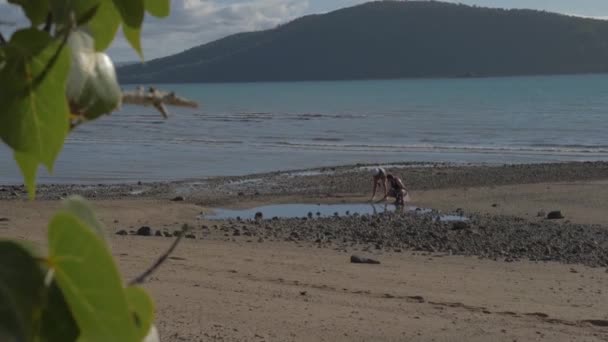 Морской Пейзаж Пляжа Sawmill Beach Туристами Берегу Моря Остров Whitsunday — стоковое видео