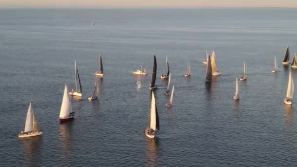 Nombreux Voiliers Flottant Dans Les Eaux Tranquilles Lac Pontchartrain Nouvelle — Video