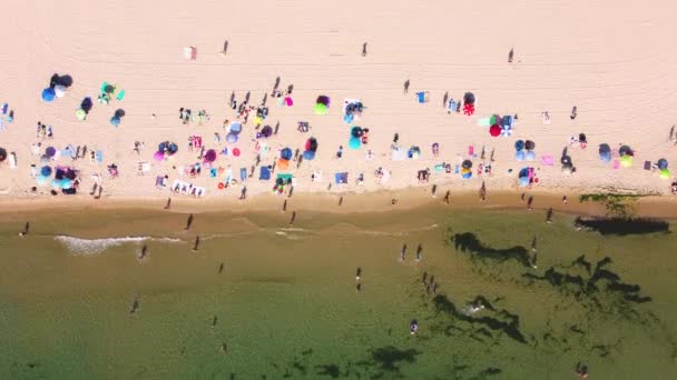 Overhead Drone Clip Exotic Golden Sand Beach Sunny Beach Bulgaria — Stock Video