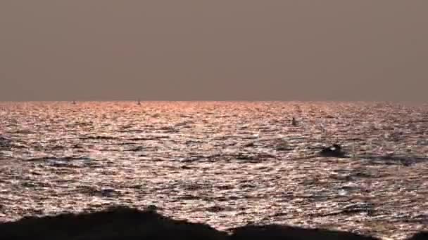 ドバイの日没時にジェットスキーライダー プラムJumeriah アラブ首長国連邦 4K映像 — ストック動画