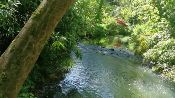 Agua Que Fluye Través Río Rural Campo Británico — Vídeos de Stock