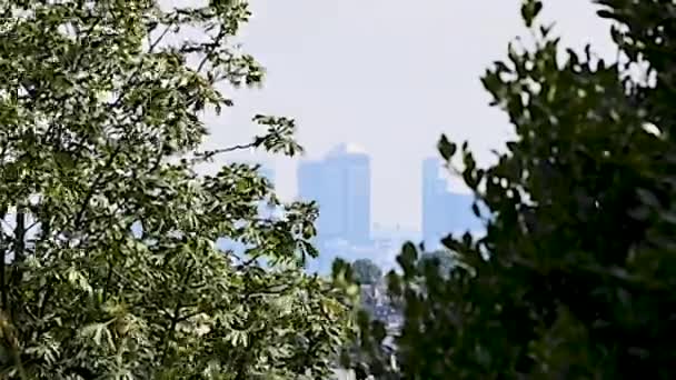 Canary Wharf Building Complex Mist Uitzicht Vanuit Alexandra Palace Londen — Stockvideo