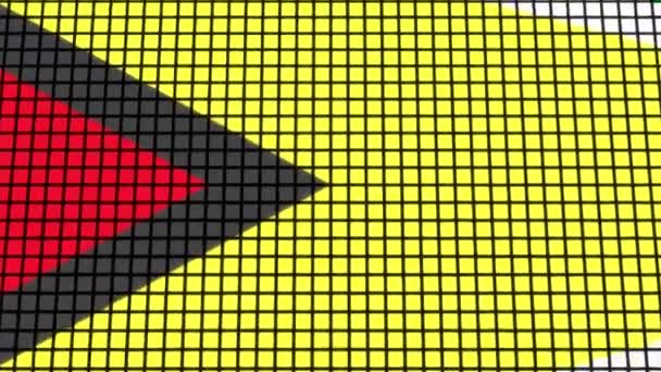 Bandera Guyana Animada Pixel Grid Style Technology Background — Vídeos de Stock