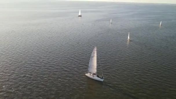 View Sailing Yachts Participate Regatta Competition Lake Pontchartrain New Orleans — Stockvideo