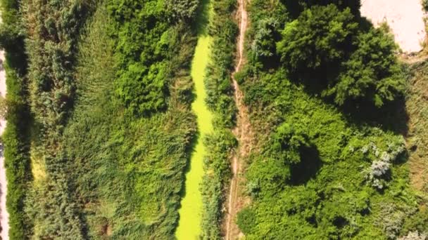 Clip Drone Aérien Sur Rivière Hadjiyska Côté Sunny Beach Bulgarie — Video