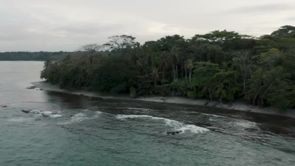 Güzel Ada Punta Mona Kosta Rika Nın Karayipler Tarafında Hava — Stok video