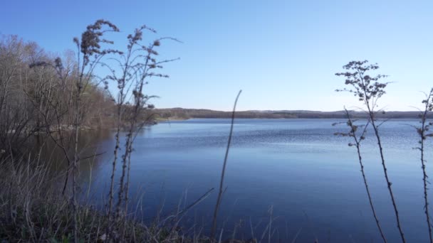 Eau Sur Plage Rivage Rocheux — Video