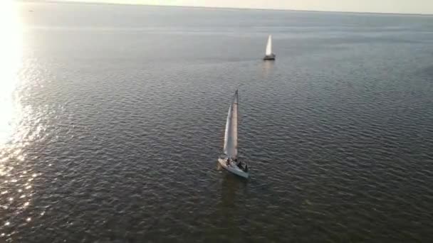 Navegar Bajo Velas Blancas Con Reflejo Luz Del Sol Lago — Vídeos de Stock