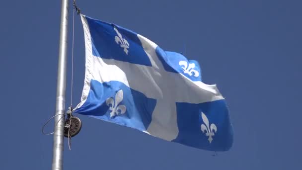 Bandiera Del Quebec Nel Vento — Video Stock