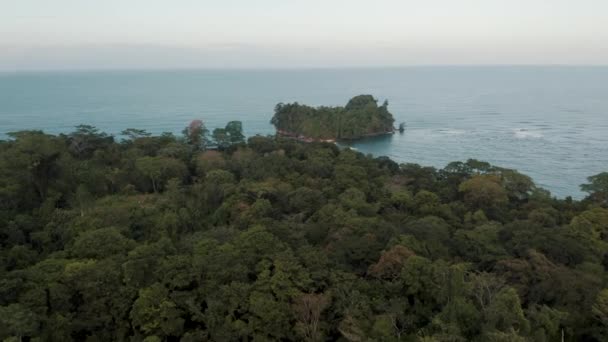 Forêt Dense Punta Mona Island Avec Paysage Marin Costa Rica — Video