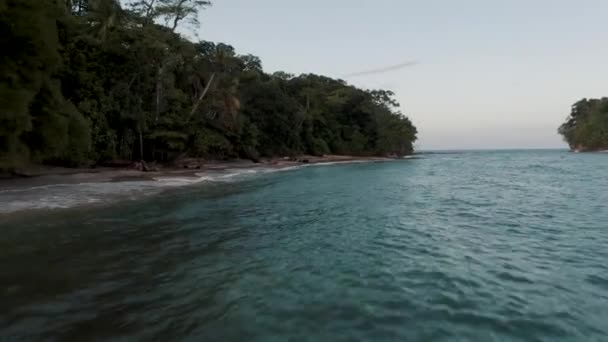 Deep Blue Ocean Dense Forest Punta Mona Island Caribbean Coast — стоковое видео