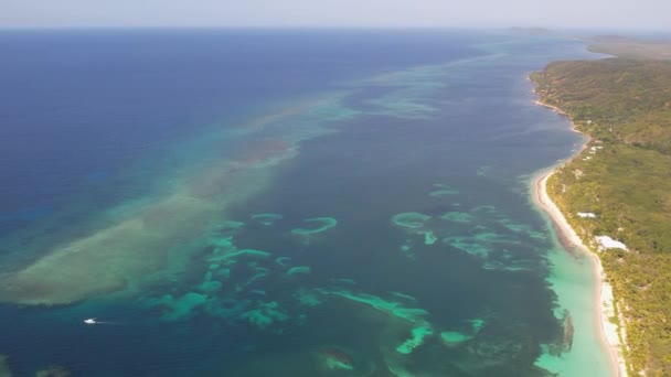 令人惊奇的热带白色沙滩和绿松石清澈的海水与小海浪和棕榈树森林的空中俯瞰 洪都拉斯 亚特兰蒂斯 罗坦岛 加勒比 热带旅行概念 — 图库视频影像