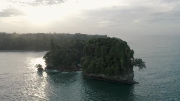 Isola Robusta Con Vegetazione Largo Della Costa Caraibica Punta Mona — Video Stock